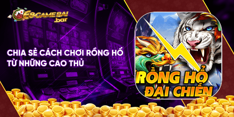 Chia sẻ cách chơi Rồng Hổ từ những cao thủ